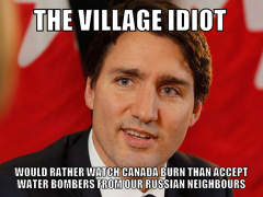 trudeau village idiot